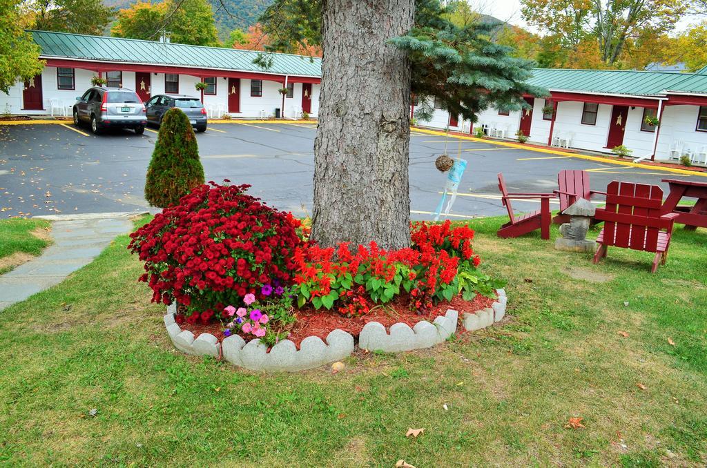 Williamstown Motel Bagian luar foto