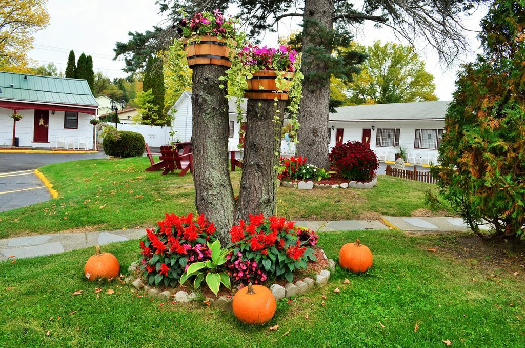 Williamstown Motel Bagian luar foto