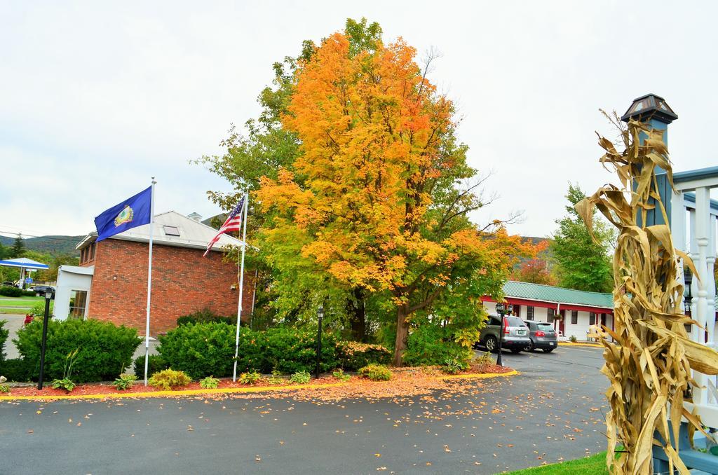 Williamstown Motel Bagian luar foto
